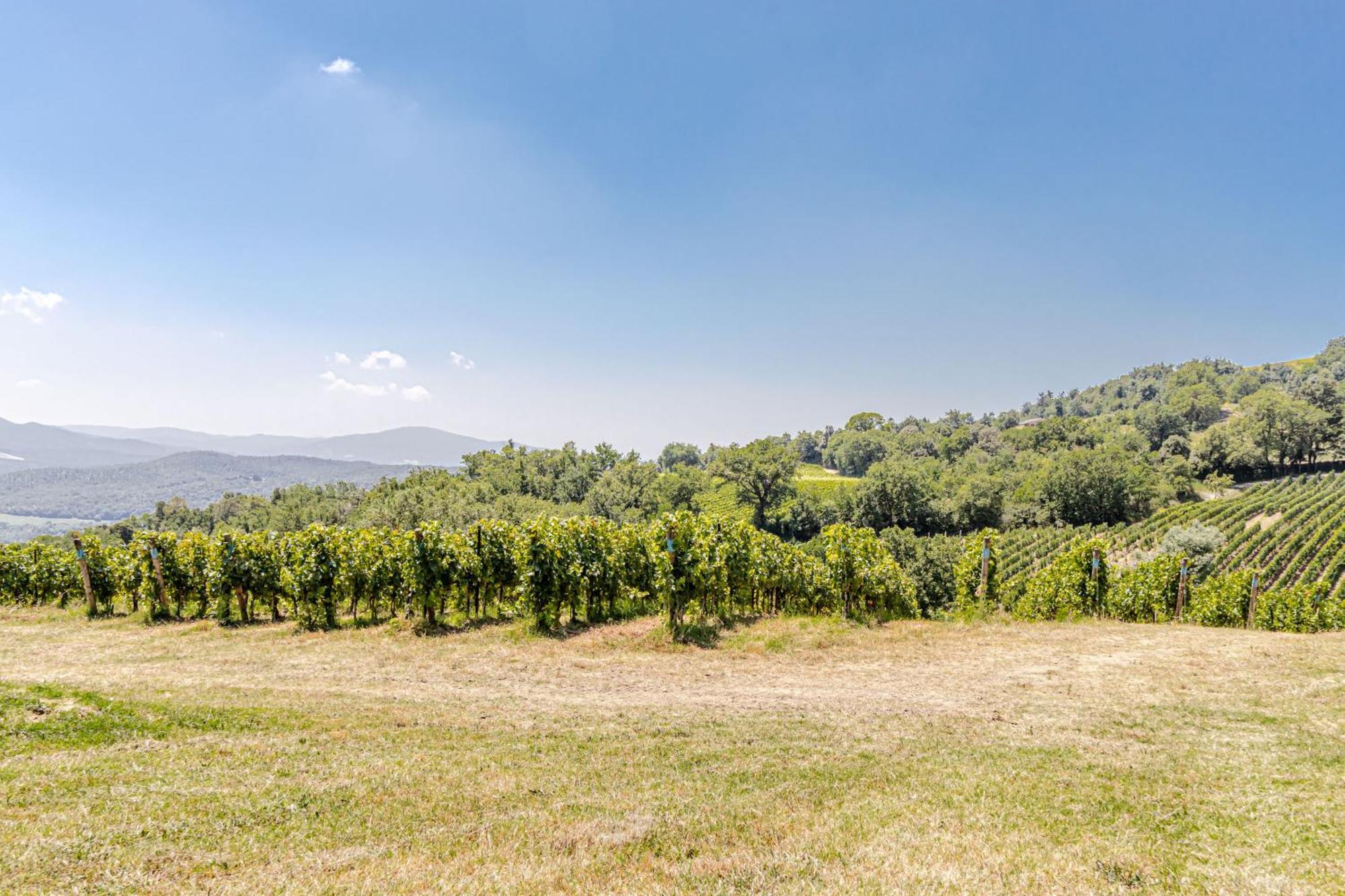 Chateau La Siroque Монтекатини Вал ди Чечина Екстериор снимка